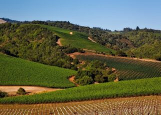Things to do in Napa Valley