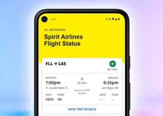 Spirit Airlines Flight Status